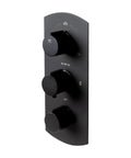 HomeStock Modern Thermostatic Shower System with Separate Temperature & Pressure Controls, Matte Black Finish control knobs close-up