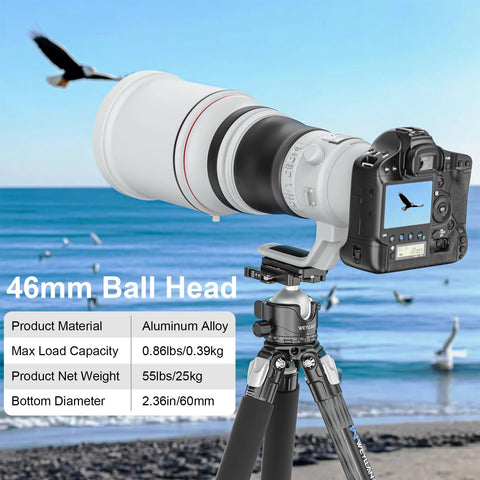DSLR camera with 46mm Lever Ball Head EH46L, aluminum tripod mount by the sea, showing stability and load capacity details.