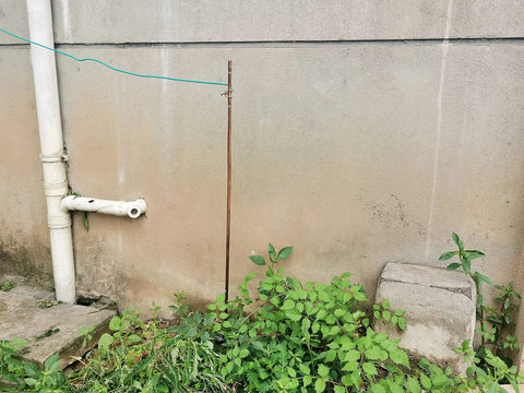 4 Foot Ground Rod With 15 Foot 12 AWG Tinned Copper Ground Wire UL Listed for outdoor setup near wall and greenery