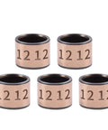 Five Pack Sleeve Bearings With 12mm Bore, 15mm OD And 12mm Length Oilless Bronze Sintered Bushings For Printing Textile Use
