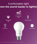 Bright 800 Lumen A19 Frosted LED Bulbs 5000 Kelvin 9 Watt 60 Watt Equivalent Non Dimmable E26 Base 4 Pack for Everyday Home Lighting