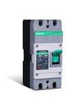 160 Amp 2 Pole DC Circuit Breaker For Off Grid Solar System Molded Case Beefed Up Protection Against Overload And Short Circuit