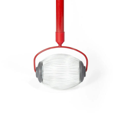 Roll Right Through Your Lawn With This Handy Dandy Nut Gatherer Roller scooping up acorns with ergonomic red handle.