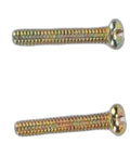 Two gold-colored screws with slotted heads for easy installation, suitable for various home and office projects.