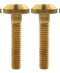 Tough As Nails Titanium Hex Socket Bolts For Motorcycle And Bicycle Custom Setup Slick Gold Fasteners With Smooth Threading, six gold bolts.