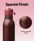 FreeSip Twist Insulated Stainless Steel Water Bottle With Straw For Sports And Travel No Brainer Double Wall 24 Oz Black Cherry