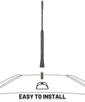 9 Inch Car Radio Antenna Mast For Ford Explorer Focus Ranger Lincoln MKT Mercury Milan with threaded adapters, installation diagram