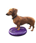 Dog standing on Balance Disc Cushion 14 Inch For Dogs With Pump And 2 Rehab Exercises Anti Burst Portable Dog Therapy Disk