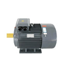 Beefed Up Heavy Duty Permanent Magnet Synchronous Variable Frequency Drive Motor For Three Phase Servo Systems YYT132M 22KW 3000RPM