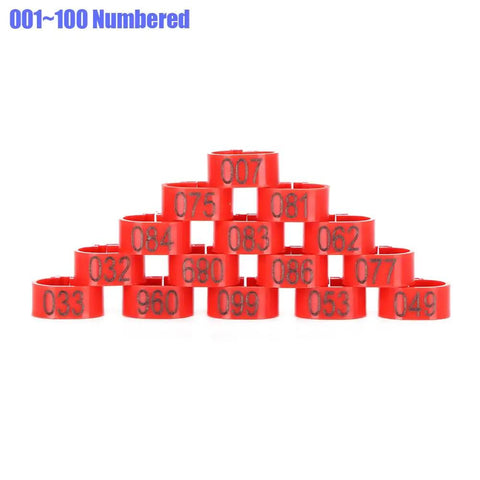 Sturdy As Heck Plastic Clip On Poultry Leg Bands 100 Pack For Birds Identification Bright Color Leg Rings stacked pyramid