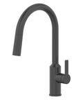 Oletto Filter Faucet in matte black finish with a sleek curved neck and a single lever handle for kitchen sinks.