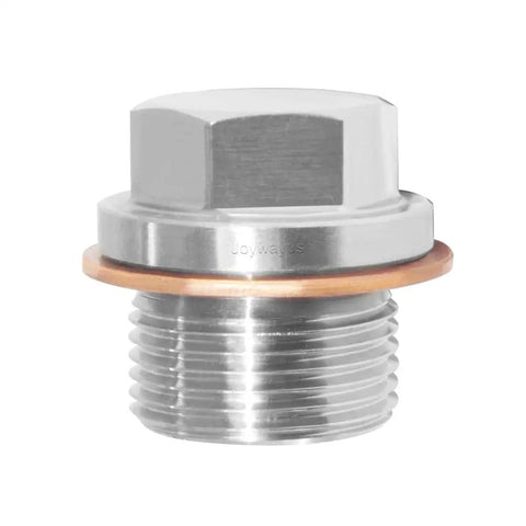 Stainless Steel Half Inch NPS Male Thread Pipe Plug With CNC Hex Head for corrosion resistance, blocks water ports and pumps.