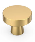 Brushed Gold Cabinet Knobs 10 Pack Zinc Drawer Dresser Pulls For Kitchen Cabinets And Furniture Hardware Rust Proof Easy Clean And Install