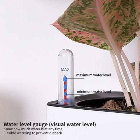 20 Pack Plant Water Level Indicator Gauges for Indoor Potted Plants, showing maximum and minimum water levels next to a plant