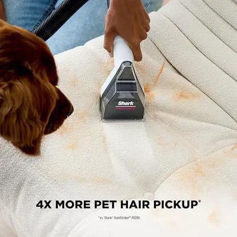 EveryMess Ultra Powerful Mess Busting 3 In 1 Wet Vacuum Dry Vacuum And Stain Eliminator cleaning pet hair on sofa