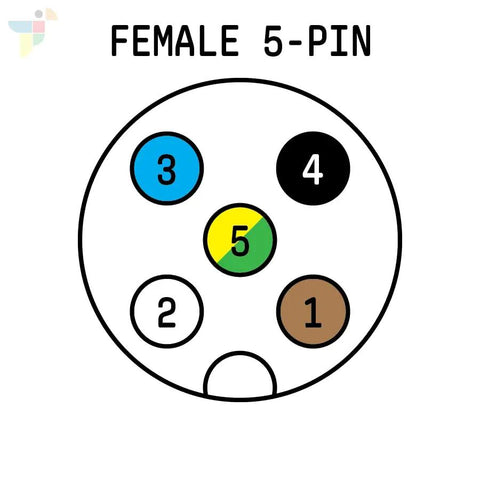 Diagram of 5 Pin Female Sensor Cable With Flying Leads 0.5m ACoded connector for proximity sensors and PLC wiring setup.