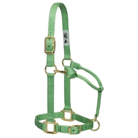 Adjustable Nylon Horse Halter For Weanlings And Ponies Durable Nylon With Triple Ply Cheek Box Stitch Reinforcement Built To Last