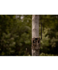 Outdoor Cellular Trail Camera With AT And T Connectivity 720p Video No Fuss QR Setup mounted on tree for wildlife monitoring