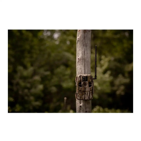 Outdoor Cellular Trail Camera With AT And T Connectivity 720p Video No Fuss QR Setup mounted on tree for wildlife monitoring