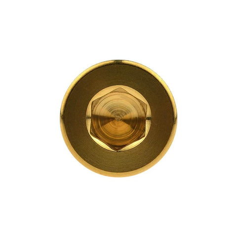Top view of Titanium DIN912 M8x35mm Square Head Hex Socket Bolt Grade 5 6AL4V Gold Finish 1.25mm Pitch