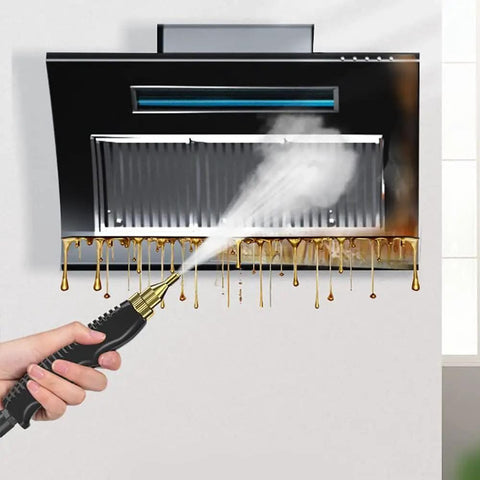 Beast 2500W High Temperature Handheld Steam Cleaner with Multi Gear Settings cleaning kitchen exhaust