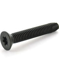 1/4-20 X 2-1/2 Inch Type F Floor Screw for Wood to Metal Trailer Decks, Flat Head Countersunk, Black Phosphate