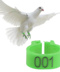 Green Pigeon Leg Bands Set With Numbered Foot Rings for pigeons, featuring a green band with 001 next to a white dove in flight.