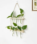 Wall Mounted Water Culture Plant Station With Wooden Bracket And Glass Tube Vases For A Boss Home Office Vibe on white wall
