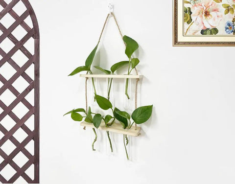 Wall Mounted Water Culture Plant Station With Wooden Bracket And Glass Tube Vases For A Boss Home Office Vibe on white wall
