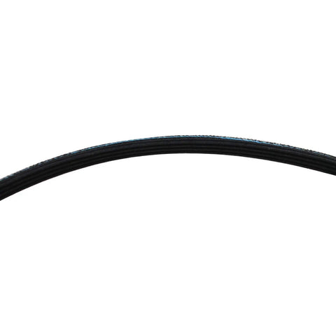 Dryer Drum Belt Replacement 341241 For LER4634EQ2 Dryer DIY Install Ultra Durable High Quality Belt Resists Wear And Tear Compatible With 8066065 AP29468 black ribbed belt close-up