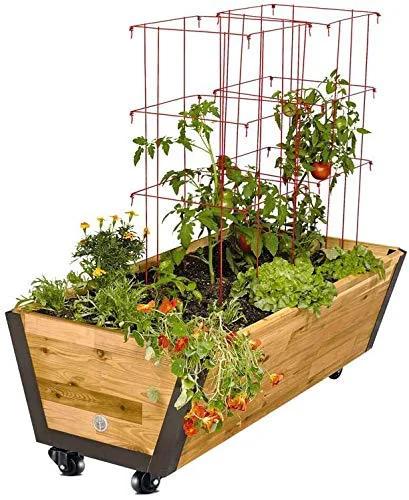 Wooden planter box with tomato plants and marigolds on heavy duty caster wheels, featuring red wire supports.