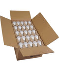 Open box showing 100 frosted 9W A19 LED Light Bulbs 60W Replacement 2700K Warm White E26 Base Damp Location 10,000 Hour Life