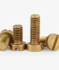Top Shelf Brass Slotted Cheese Head Screws M3 X 4mm Copper Tone 20 Piece Kit, close-up of screws showing slotted heads.