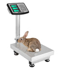 Hardcore Heavy Duty Waterproof Digital Floor Scale 300kg 660lb Foldable Workhorse Platform with rabbit on stainless steel deck.