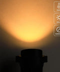 Warm White 5W Low Voltage Landscape Lights Set Outdoor Gardens Walkways Waterproof 12V To 24V Spotlight Trees Patio Decks Flags 12 Pack LED Garden Lighting 500 Lumens Each shown illuminating a wall