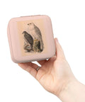 Pink Gyrfalcon Birds Of Prey Inspired Travel Jewelry Case with vintage falconry art, 4x4x2 inch, held in hand