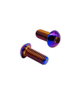 Badass Gr5 Aviation Grade Titanium Screws M8 X 20 mm Iso7380 Button Head Hex Socket Cap Bolts In Slick Burnt Blue Finish Tough As Nails Fasteners For Hot Rods And Heavy Duty Gear Pack Of Five - close-up of two bolts