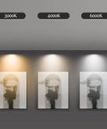 10 Pack Square LED Downlights Featuring Sleek Aluminum Baffle Trim illuminating art displays at 3000K, 4000K, and 6000K settings.