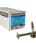 Exterior Wood Screws With Washer Head, Quarter Inch By Two Inch, 250 Pack, Torx Star Drive box and screws displayed