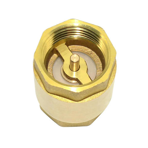 Brass female-threaded check valve with visible internal spring and disc, 1'' (DN25).