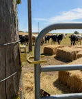 Heavy Duty Instant Locking Gate Latch With Slick One Hand Operation Rust Resistant Gold Alloy Steel Fence Hardware on a farm gate.
