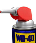 Gel Lubricant With Smart Straw Sprays Two Ways, 10 Oz, can with red nozzle for chains, cables, gears, rollers and bearings.