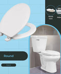 Round toilet seat with heavy-duty wood core and scratch-resistant plastic finish, six-pack, residential use, white