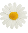 White Daisy Lapel Pin Fabric Flower Boutonniere for Suits and Blazers, Fresh Spring Floral Accessory for Weddings and Everyday Wear, Easy Pin On Style with Bright Yellow Center, 1.18 inch white daisy