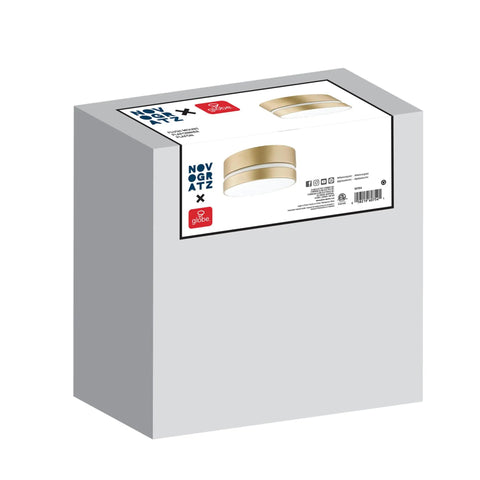 Soft Gold Finish Two Light Flush Mount Ceiling Light With Frosted Glass Shade box packaging view