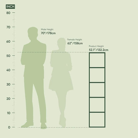 Height comparison of open shelf bookcase for living room, bedroom, and home office, 52.1 inches tall, against average heights.