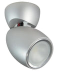 GAI2 Go To General Area Illumination Two Light Fixture Brushed Finish close-up of one silver light with frosted glass cover.