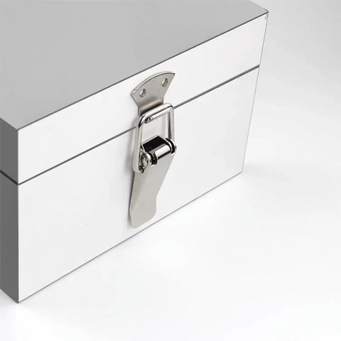 Stainless Steel Spring Toggle Latch 4 Pack For Large Boxes And Cases Beefy Rust Resistant Tool Box Trunk Latch With Secure Clamp on white box