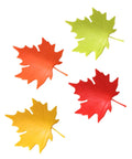 Leaf Shape Door Stopper 4 Pack with sturdy PP wedges in red, yellow, orange, and green for anti-skid protection from door slams.