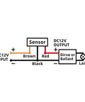 Two Pack IP65 Outdoor Motion Detector Controller For 12VDC Security And Area Lighting With Adjustable Sensitivity And Delay Timer 140x90 Degree Coverage 10m Range Anti Pet Immunity EN 50131-2-2 Compliant wiring diagram